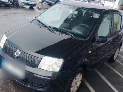 gebraucht Fiat Panda Zahnriemen neu Tüv 07/25