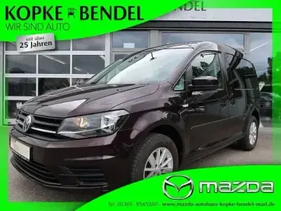 Gebraucht VW Caddy Trendline 102 PS (75 kW) 2019 Violet Van / Kleinbus