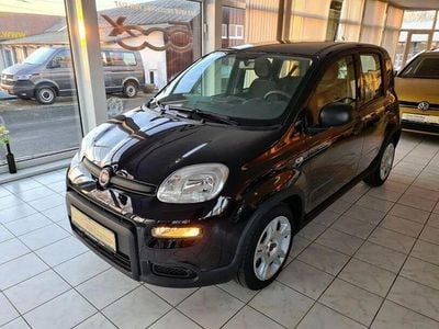Gebraucht Fiat Panda 51 PS (37 kW) 2024 Schwarz Kleinwagen