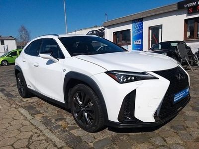 Gebraucht Lexus UX 250h 152 PS (111 kW) 2021 Weiß SUV