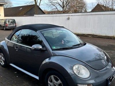 VW Beetle