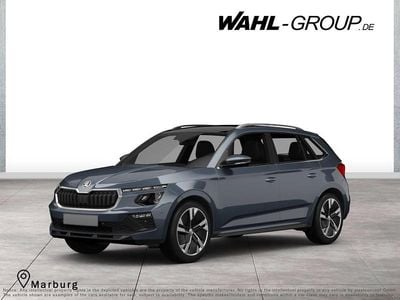 Grau Neu 2025 Skoda Kamiq Tour SUV | 29.980 € (Etwas zu teuer)