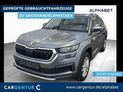 Gebraucht Skoda Kodiaq Ambition 150 PS (110 kW) 2023 Graphit grau metallic SUV
