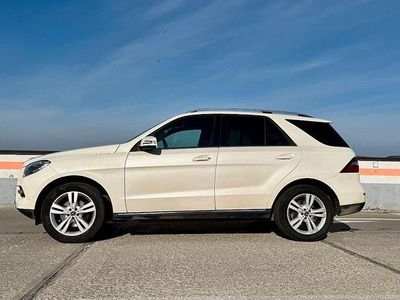 Mercedes ML250