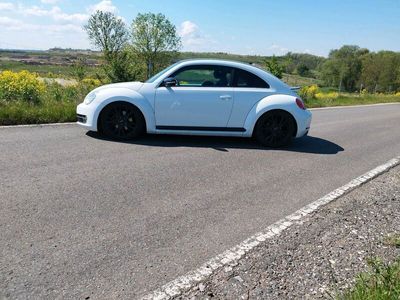 gebraucht VW Beetle 2.0