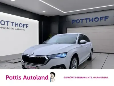Gebraucht Skoda Octavia Style 116 PS (85 kW) 2023 Candyweiss Kombi