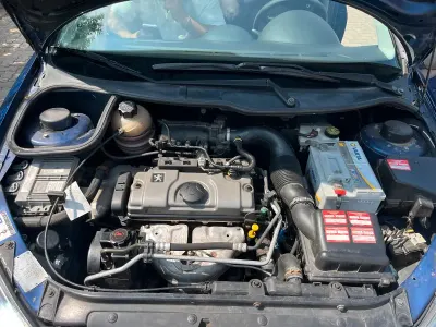 Gebraucht Peugeot 206 75 PS (55 kW) 2005 Blau Kombi