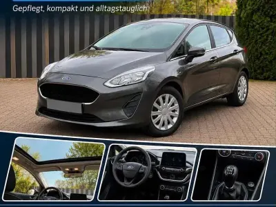Gebraucht Ford Fiesta Trend 101 PS (74 kW) 2017 Grau Kleinwagen