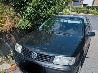 VW Polo