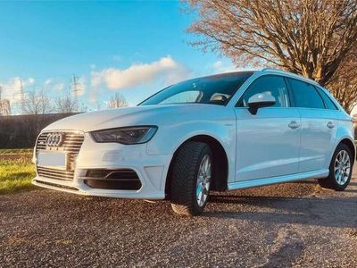 gebraucht Audi A3 e-tron ambition Sportausstattung