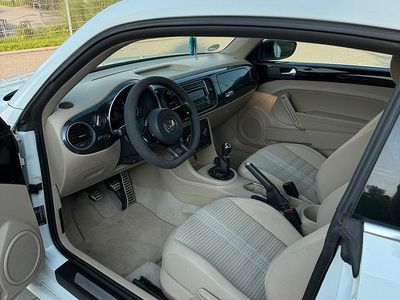 VW Beetle