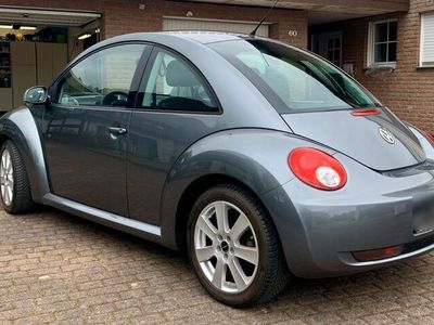 gebraucht VW Beetle 1.6 mit Klima TÜV Sitzheizung Alufelgen