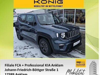 Gebraucht Jeep Renegade 131 PS (96 kW) 2023 Blau SUV