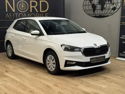 Gebraucht Skoda Fabia Active 65 PS (47 kW) 2023 Candyweiss Kleinwagen