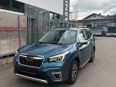 Gebraucht Subaru Forester
