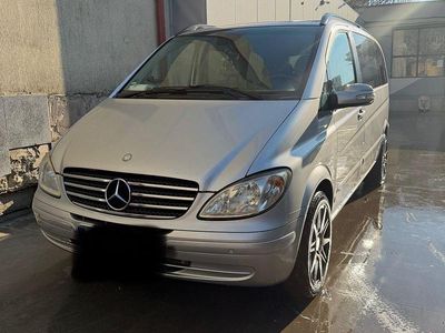 Mercedes Viano