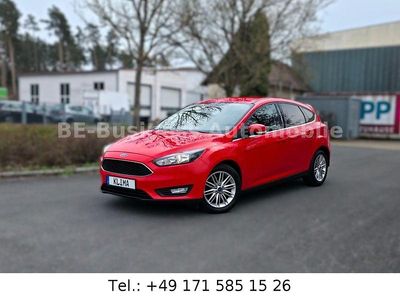 Usata Ford Focus Cool & Connect 150 CV (110 kW) 2017 Rosso Berlina