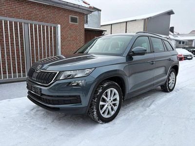 Grau Gebraucht 2018 Skoda Kodiaq Ambition SUV | 16.990 € (Fairer Preis)