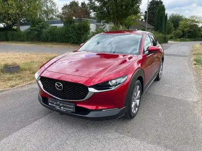 Gebraucht Mazda CX-30 Selection 116 PS (85 kW) 2019 Rot SUV