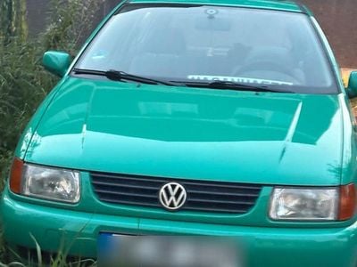 VW Polo