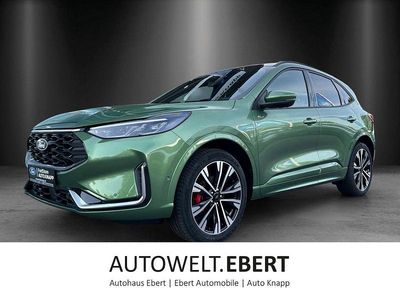 Usata Ford Kuga ST-Line X 242 CV (177 kW) 2025 Verde SUV