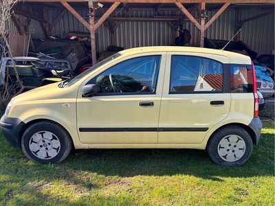 Usata Fiat Panda 54 CV (39 kW) 2009 Giallo Utilitaria