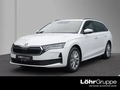 Gebraucht Skoda Octavia Selection 116 PS (85 kW) 2024 Weiß Kombi