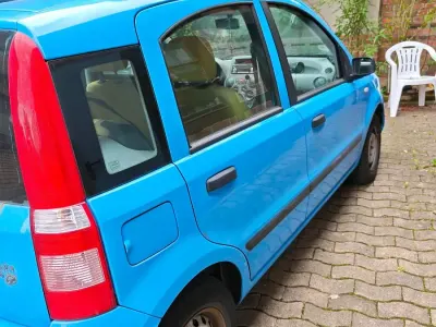 Brugt Fiat Panda