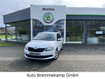 gebraucht Skoda Fabia 1,0 MPI Cool Edition Allwetterbereifung