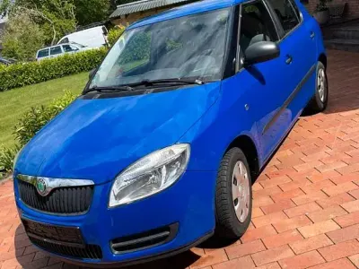 Brugt Skoda Fabia