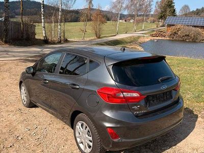 Gebraucht Ford Fiesta Trend 101 PS (74 kW) 2019 Grau Kleinwagen