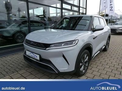 Skiing white Gebraucht 2025 BYD Atto 2 Boost SUV | 28.950 € (Etwas zu teuer)