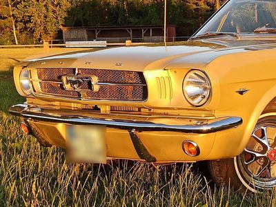 Gebraucht Ford V8 200 PS (147 kW) 1965 Cabrio