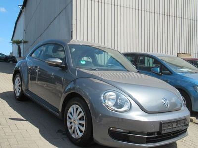 VW Beetle