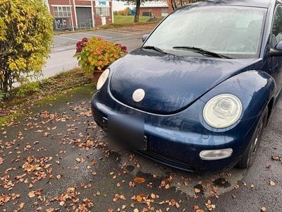 VW Beetle