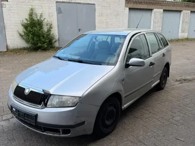 Usata Skoda Fabia