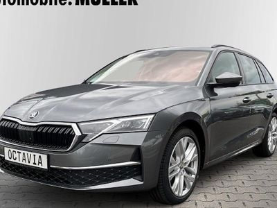 Usata Skoda Octavia Selection 150 CV (110 kW) 2024 Grigio Station wagon