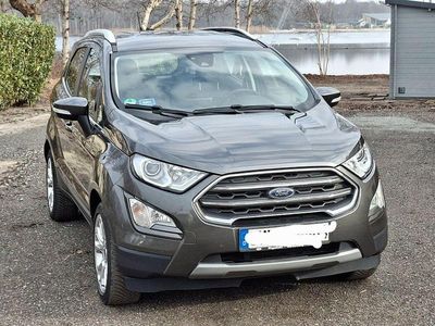 Gebraucht Ford Ecosport Titanium 125 PS (91 kW) 2020 Grau SUV