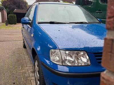 VW Polo
