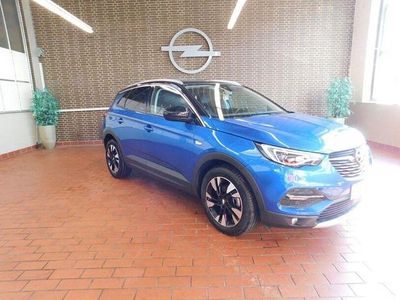 Gebraucht Opel Grandland X Ultimate 131 PS (96 kW) 2020 Blau SUV