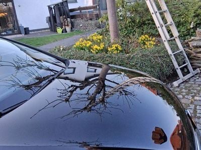 Gebraucht VW Golf VII Trendline 86 PS (63 kW) 2016 Schwarz Limousine