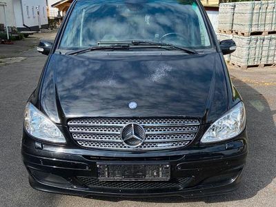 Mercedes Viano