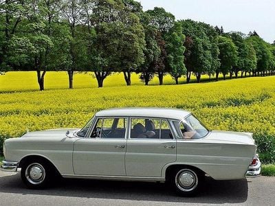 Gebraucht Mercedes 220 110 PS (80 kW) 1963 Beige Limousine