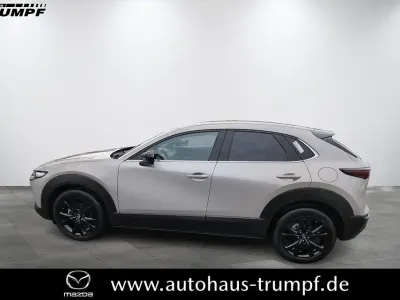 Neu Mazda CX-30 Homura-Line 140 PS (102 kW) 2025 SUV