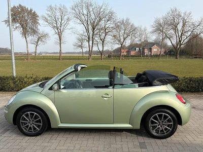 Gebraucht VW New Beetle Cabriolet 116 PS (85 kW) 2006 Grün Cabrio