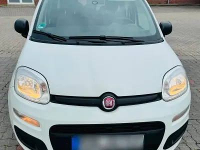 Gebraucht Fiat Panda 69 PS (50 kW) 2016 Weiß Kleinwagen