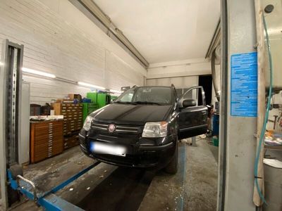 gebraucht Fiat Panda Testinserat