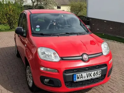 Gebraucht Fiat Panda Easy 69 PS (50 kW) 2017 Kleinwagen