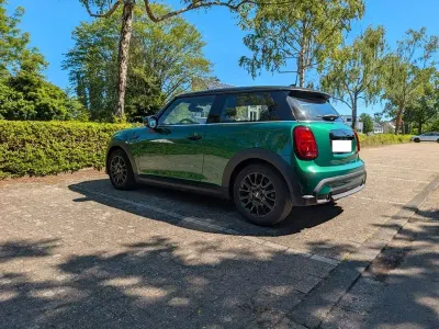 Gebraucht Mini Cooper 136 PS (100 kW) 2023 Grün Kleinwagen