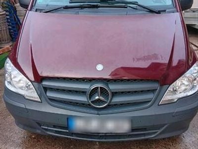 Mercedes Viano
